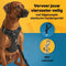 Jake & Jacky Hondendeken Auto Achterbank Kofferbak - Autodeken Hond - Waterafstotend - 145 cm