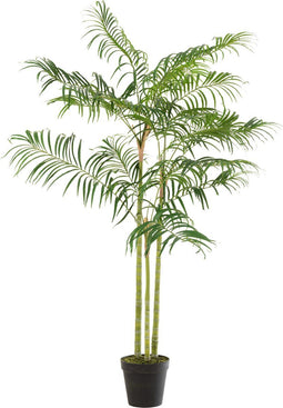 J-Line plant Bamboepalm In Pot - kunststof - groen/zwart - small