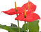 vidaXL - Kunst - anthurium - plant - met - pot - 90 - cm - rood - en - geel