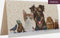 Diamondpainting Crystal Art Kaart Dierenfamilie 11x22cm