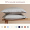 Coco & Cici - Tencel Sateen Kussensloop 70 x 60 cm - Kussenhoes - Lyocell - Extra Zacht & 100% Natuurlijk - Taupe - Zonder Volant
