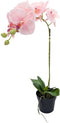 Orchidee kunstplant 1-tak 55 cm, roze