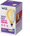 WiZ PS160 - Slimme LED Filamentlamp - Instelbaar wit licht - Amber