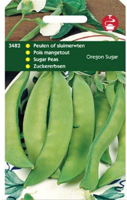 Peulen Oregon Sugar