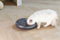 Beeztees Onni - Voederautomaat Kat - 6x 180 ml - USB-oplaadbaar - Antraciet