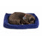 Perfect Petzzz - Soft Labrador - Realistische hond met accessoires - Bruin