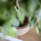 Capi Europe - Bloempot bol Waste Smooth NL - 35x34 - Terrazzo beige - Opening Ø29 - Bloempot voor binnen en buiten - Levenslang garantie - Breukbestendig - 100% Recyclebaar - CO2 Neutraal geproduceerd - KTB932
