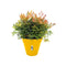Elho Loft Urban Rond 50 - Bloempot - Waterreservoir - Wieltjes - Oker - 48.5 x H 44.5 cm