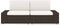 vidaXL - Tweezitsbank - sectioneel - poly - rattan - bruin