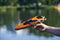 Dickie Toys Sea Hawk - RC speedboot - Afstandsbediening 2,4 GHz - Oranje