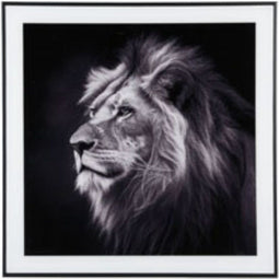 Present Time Lion Wanddecoratie - Fotokunst - 2x50x50cm - Zwart