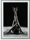 Schilderij Versa Silhouetten Kristal polyestyreen (60 x 2 x 80 cm)