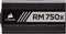 Corsair RM750x (2018) - Voeding - 750W 80 Plus Gold - Zwart