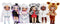 Na! Na! Na! Surprise 2-in-1 Cozy serie - Uil - Modepop