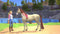 Barbie - Horse Trails - Nintendo Switch - Kids avontuur (2025)