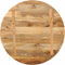 vidaXL - Tafelblad - rond - Ø - 90x3,8 - cm - massief - ruw - mangohout
