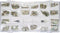 Nail Art Steentjes Kit - 3100-DELIG - 3D Mix Nail Art Strass Kristallen - Speciaal Gevormde Diamanten Nagel Steentjes - Nagel Steentjes voor Strass Doos - Kristal Kit met Boor Pen
