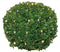 Nampook Buxusbalverlichting - 144led ww