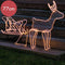 Nampook Kerstverlichting - 60 x 28 x 77 cm - rendier slee