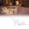 Nampook Kerstverlichting - 60 x 28 x 77 cm - rendier slee