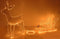 Nampook Kerstverlichting - 60 x 28 x 77 cm - rendier slee