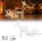 Nampook Kerstverlichting - 60 x 28 x 77 cm - rendier slee