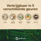 NAMTURE Kaarsen Mix Coconut Lime / Geurloos