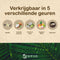 Namture Kokosnoot Kaars - Geurloos - 50 Branduren - 300 ml Kokosnoot Wax - Duurzaam Cadeau