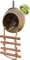 Namture - Kokosnoot Vogelvoederhuisje - 100% Natuurlijk - Inclusief Houten Trapje - Voederhuisje Hangend - Vogelhuisje - Voederhuisje Voor Vogels