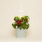 NANO Celadon Green with mini Bell peppers pod