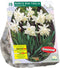 Narcis Mini Thalia - 1 x 15 bloembollen
