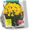 Narcis Trompet, Geel per 20
