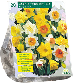 Narcis Trompet, Mix per 20