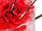 Nassau Fine Art Acrylverf Set | 24 acrylverf tubes | Paletmes | 2 x Penselen | Inclusief canvas