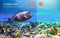 Native 4K 60fps 20MP Wi-Fi Action Sportcamera