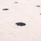 Nattiot - Numi Black Vloerkleed/Tapijt Voor Kinderkamer - Afmetingen 100 x 150 cm