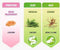 Natural Trainer - Senior Medium Chicken Hondenvoer