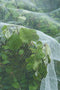 Nature - Anti-insectennet - 5,2 x 5m - fijnmazig