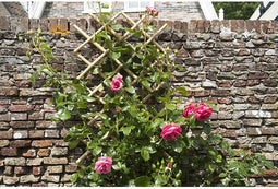 Nature - Bamboe klimrek (rekbaar) - 70cm x 1,8m - Naturel