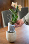 Nature Orchidee Pot Transparant Ø12cm - Kweekbenodigdheden - Ø12 cm Transparant
