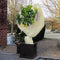 Nature plantenhoes XL - 5 x 2 meter - beige - anti-vorst planten beschermhoes - 500 x 200 cm