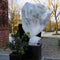 Nature plantenhoes XL - 5 x 2 meter - wit - anti-vorst planten beschermhoes - 500 x 200 cm