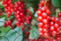 Nature - Primo tuin-net - 5x3m - zwart - anti-vogelnetten