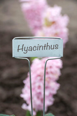 NATURE T-labels plantlabels met zink 16 cm 6 stuks