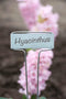 NATURE T-labels plantlabels met zink 16 cm 6 stuks