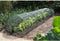 Nature - Tuintunnelset (2-in-1: folie + net) - 45 x 60 x 300cm