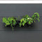 Nature - Verticale muurtuin - H12,5 x 60 x 16,6cm - complete set