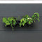 Nature - Verticale muurtuin - H12,5 x 60 x 16,6cm - complete set