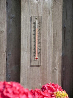 NATURE Wandthermometer voor buiten in plexiglas