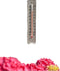 NATURE Wandthermometer voor buiten in plexiglas